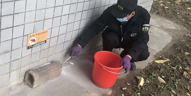 1595582137665565.jpg timg (1).jpg