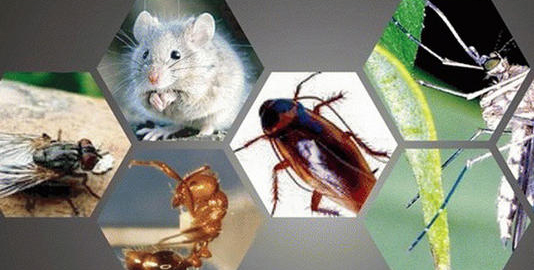 1595582180816863.jpg u=3523949137,3210399728&fm=15&gp=0.jpg