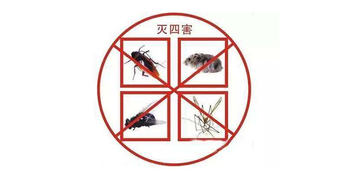 1595582220386456.jpg u=185100920,2994352996&fm=26&gp=0.jpg